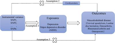 Genetic link between depression and musculoskeletal disorders: insights from Mendelian randomization analysis